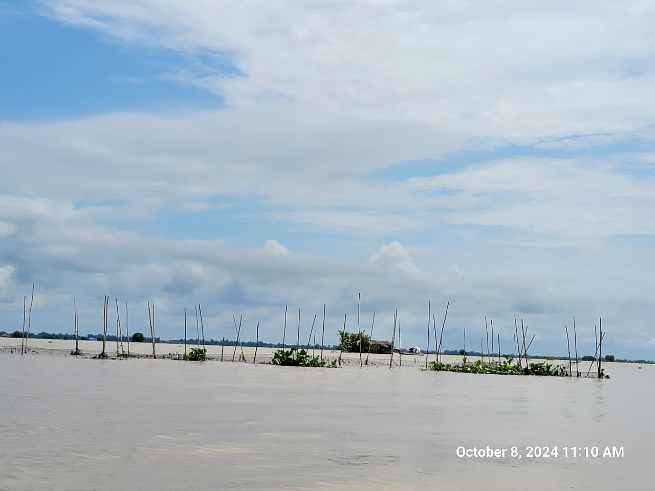 ការដាក់របាំងក្រឡាល្អិតជាច្រើនកន្លែងរាប់ពាន់ម៉ែត្រក្បែរតំបន់ដែនអភិរក្សក្នុងស្រុកបុរីជលសារ ខេត្តតាកែវ  ហាក់មិនទទួលបានការចាប់អារម្មណ៍ពីសំណាក់អាជ្ញាធរដែនដីស្រុកបុរីជលសារ ក៏ដូចជារដ្ឋបាលខេត្តតាកែវ